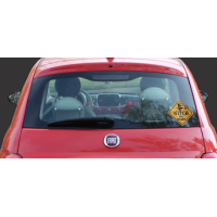 Auto/raam sticker witch on board1 15x15cm